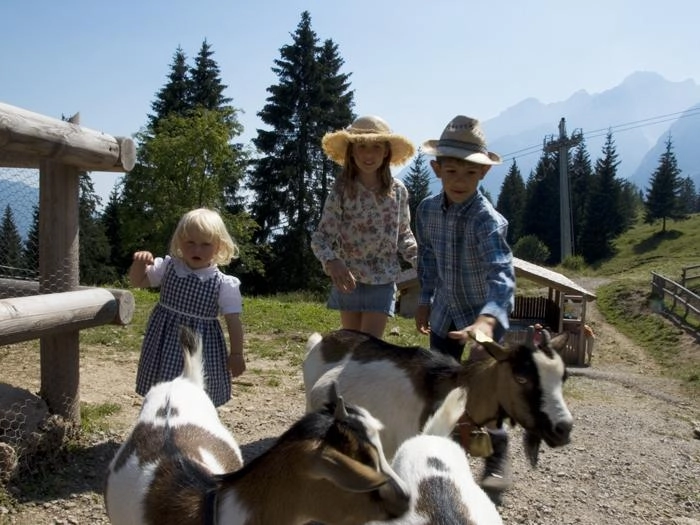 zobacz camping - zdjęcie 12