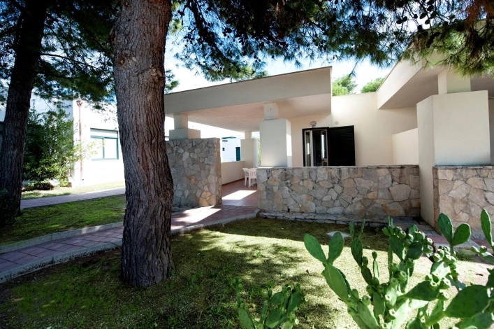 zobacz camping - zdjęcie 22