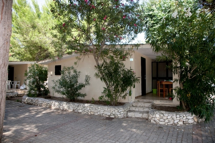 zobacz camping - zdjęcie 20