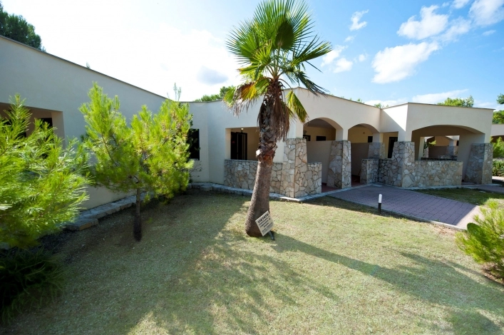 zobacz camping - zdjęcie 4