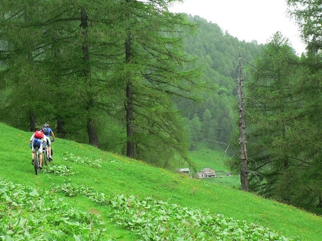 zobacz camping - zdjęcie 24