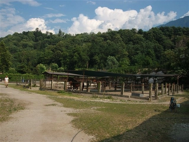 zobacz camping - zdjęcie 22