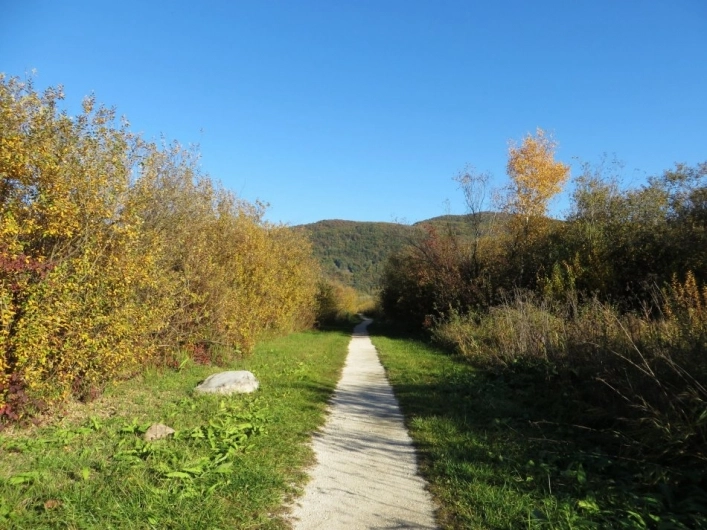 zobacz camping - zdjęcie 18