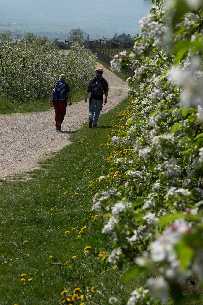 zobacz camping - zdjęcie 16