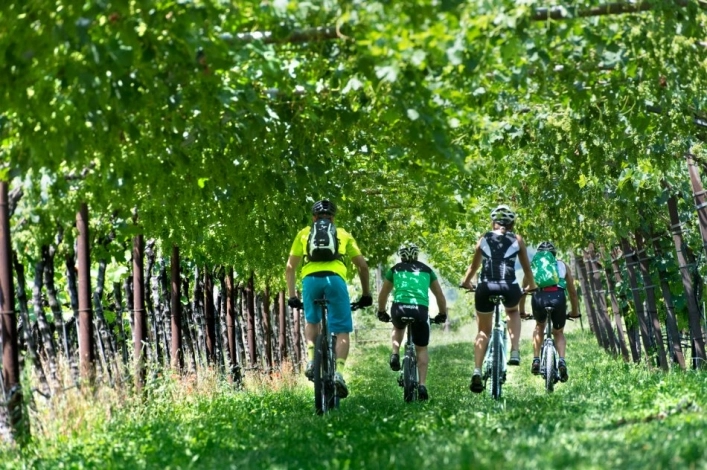 zobacz camping - zdjęcie 14