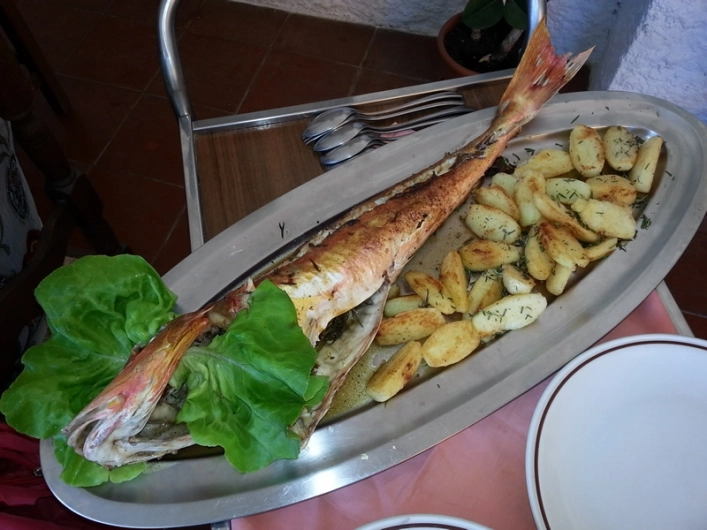 zobacz camping - zdjęcie 49