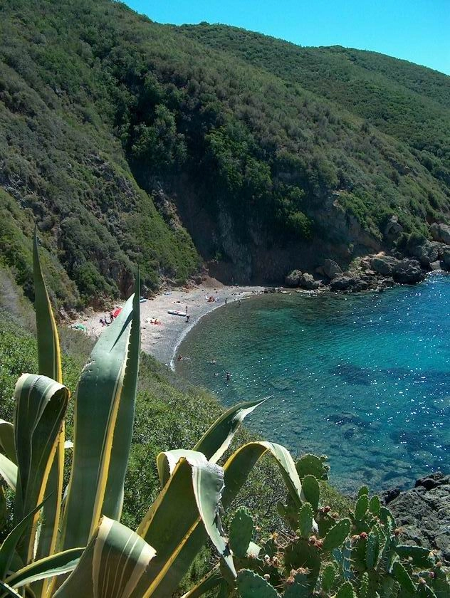 zobacz camping - zdjęcie 44