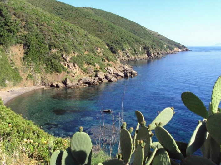 zobacz camping - zdjęcie 30