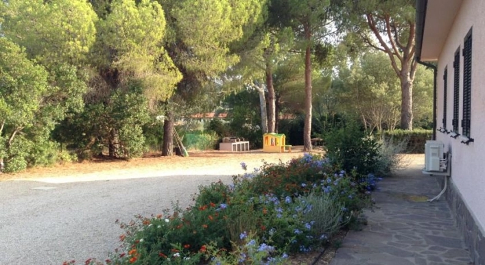 zobacz camping - zdjęcie 28