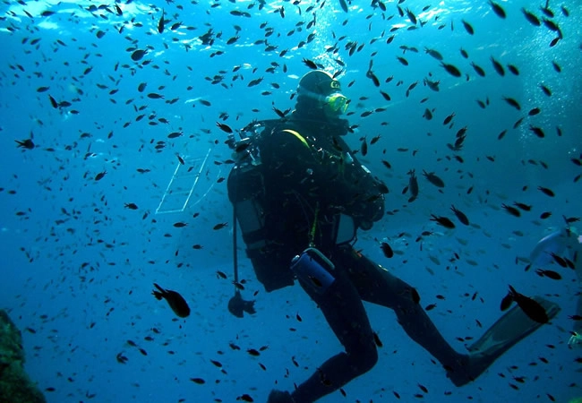 zobacz camping - zdjęcie 18