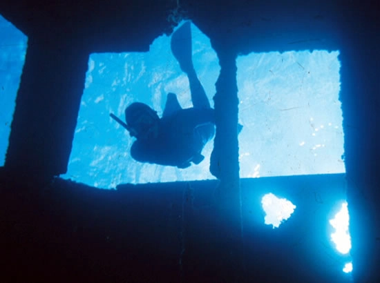 zobacz camping - zdjęcie 6