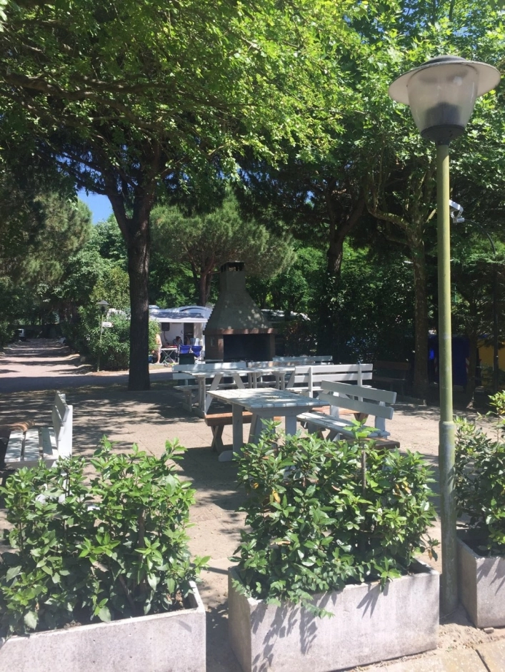 zobacz camping - zdjęcie 38