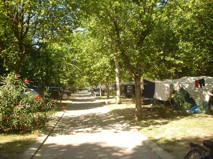 zobacz camping - zdjęcie 26