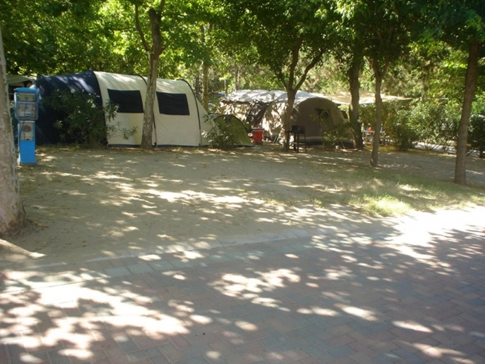 zobacz camping - zdjęcie 15