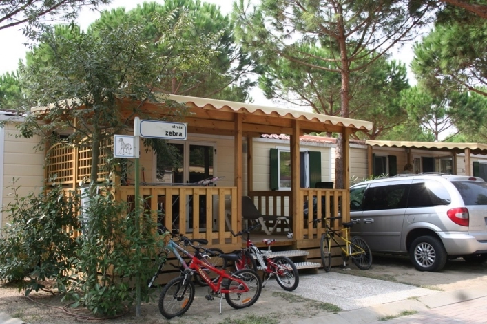 zobacz camping - zdjęcie 5