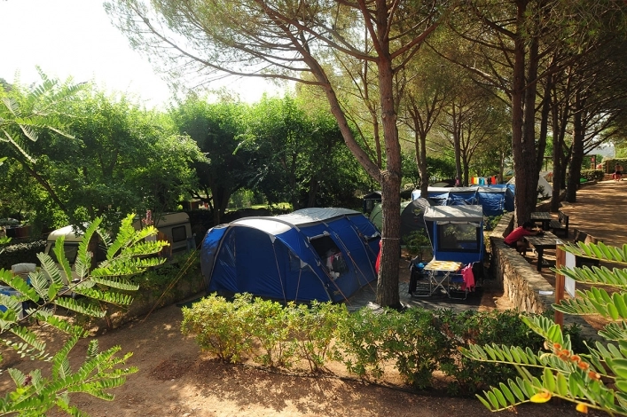 zobacz camping - zdjęcie 37