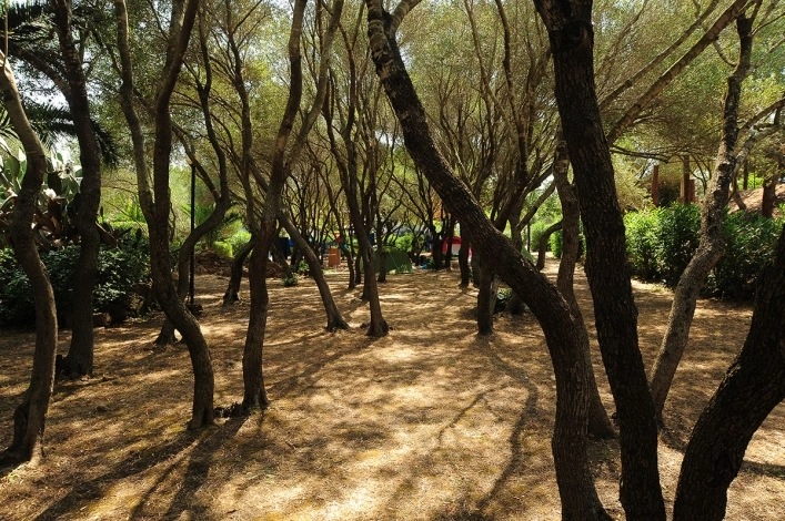 zobacz camping - zdjęcie 27