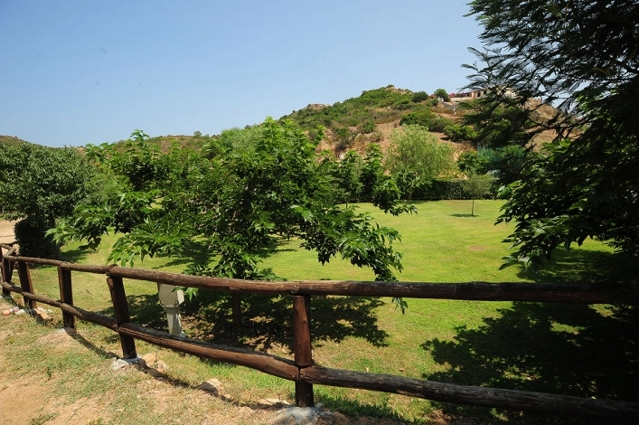 zobacz camping - zdjęcie 21