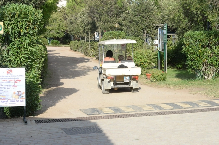 zobacz camping - zdjęcie 20