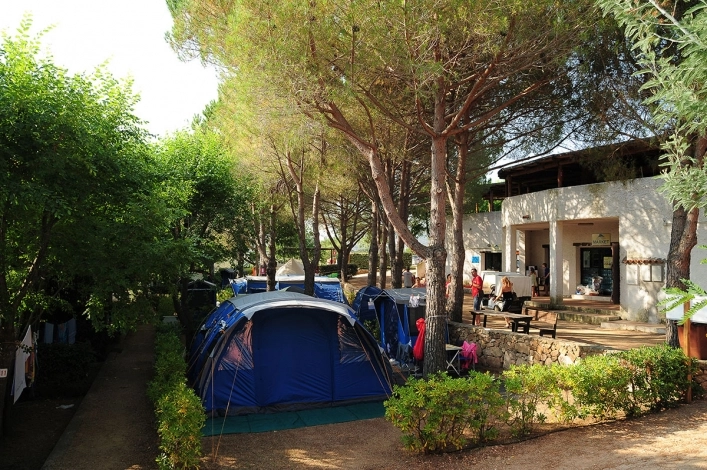 zobacz camping - zdjęcie 9