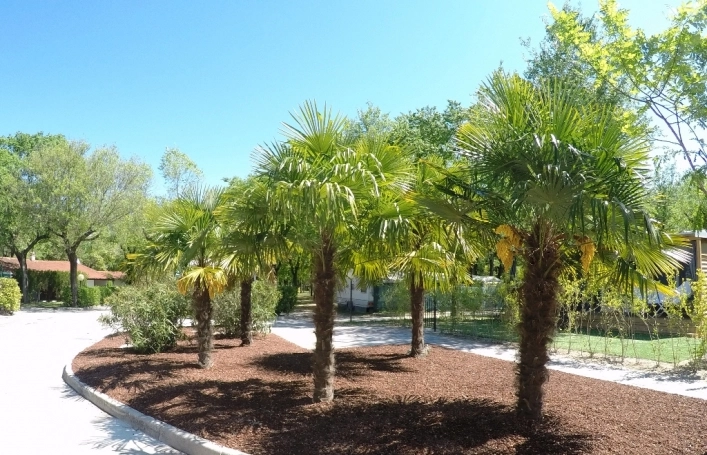 zobacz camping - zdjęcie 11