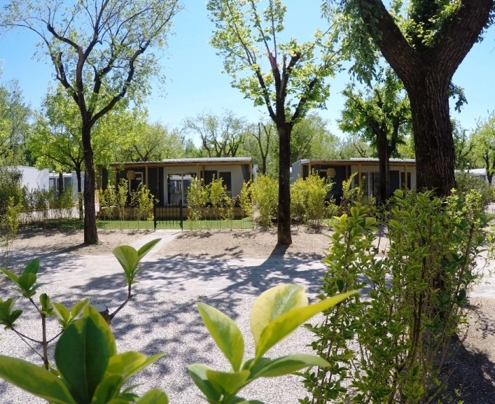 zobacz camping - zdjęcie 6