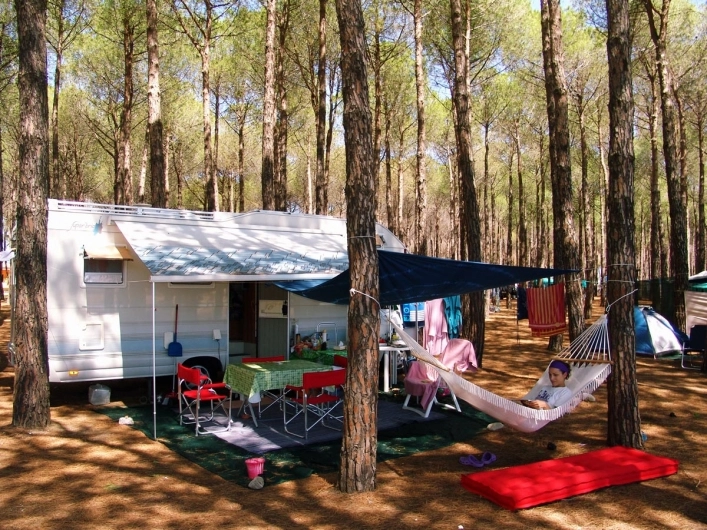 zobacz camping - zdjęcie 49