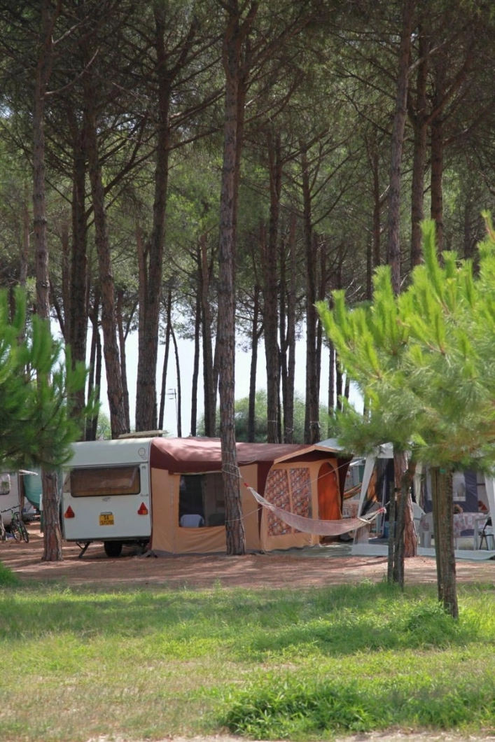 zobacz camping - zdjęcie 46