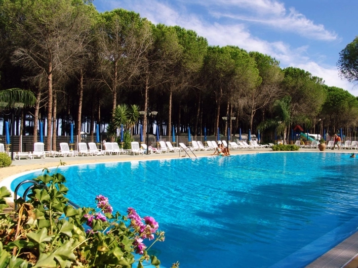 zobacz camping - zdjęcie 45