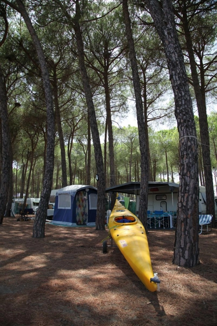 zobacz camping - zdjęcie 42