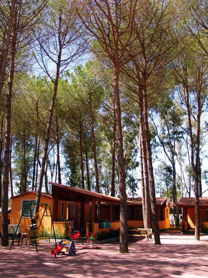 zobacz camping - zdjęcie 34