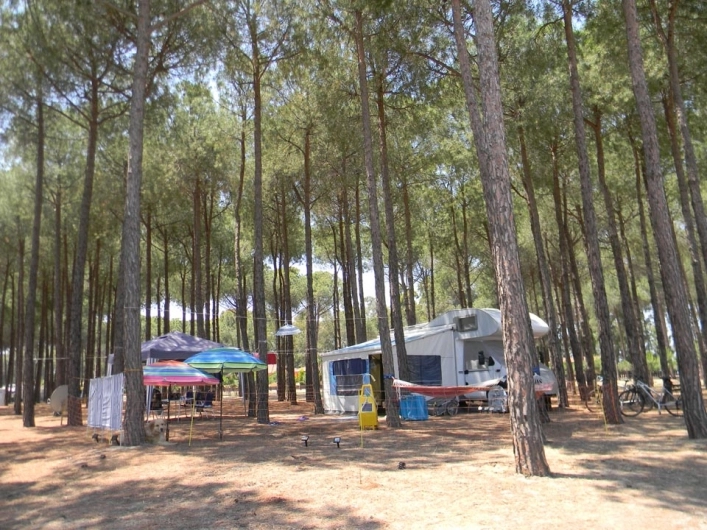 zobacz camping - zdjęcie 28