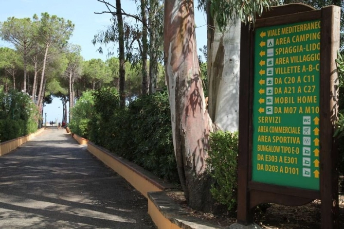 zobacz camping - zdjęcie 27