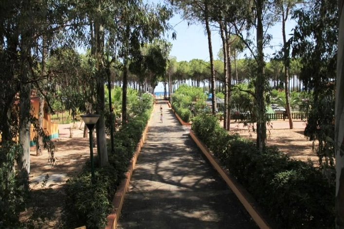 zobacz camping - zdjęcie 17