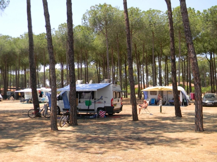 zobacz camping - zdjęcie 15