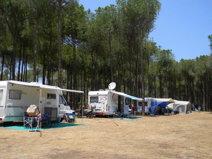 zobacz camping - zdjęcie 10