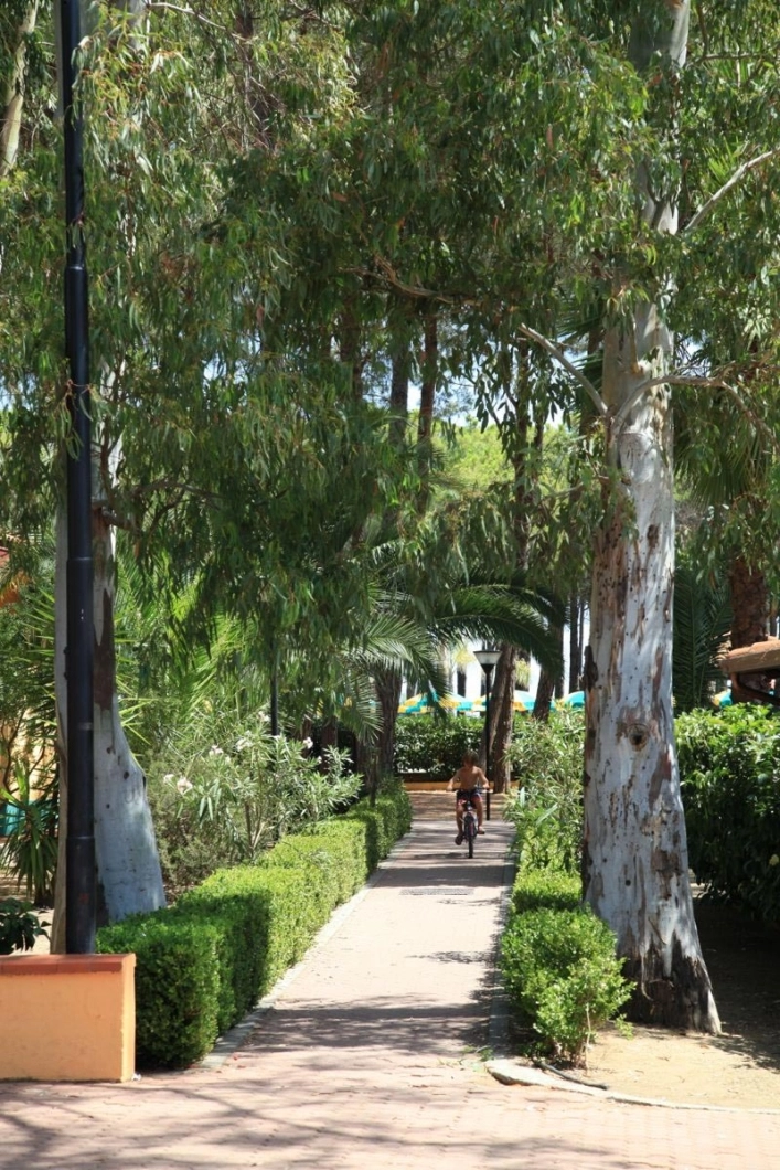 zobacz camping - zdjęcie 6