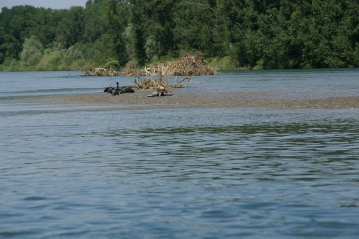 zobacz camping - zdjęcie 10