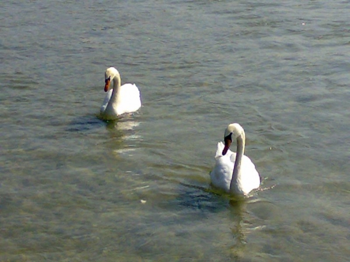 zobacz camping - zdjęcie 3