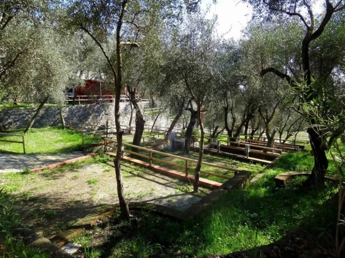 zobacz camping - zdjęcie 27