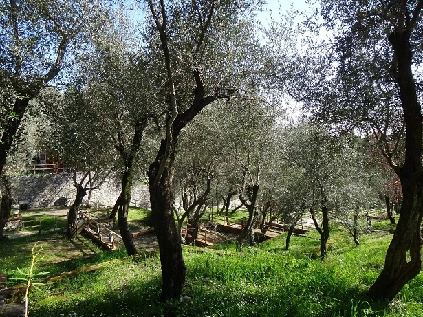 zobacz camping - zdjęcie 26