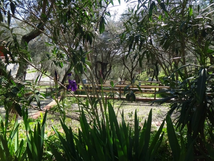 zobacz camping - zdjęcie 24