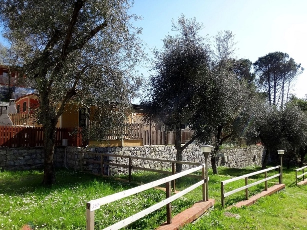 zobacz camping - zdjęcie 16