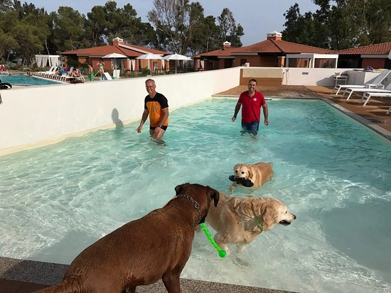 zobacz camping - zdjęcie 13