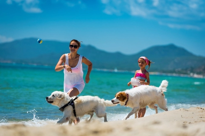 zobacz camping - zdjęcie 3