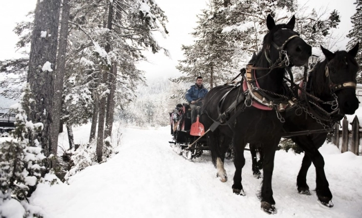 zobacz camping - zdjęcie 29