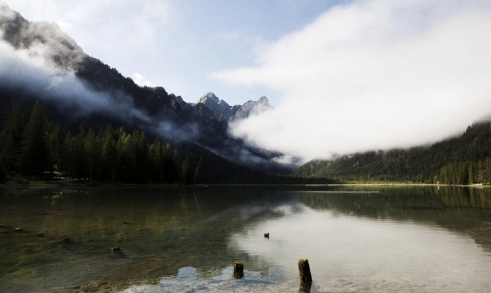 zobacz camping - zdjęcie 22