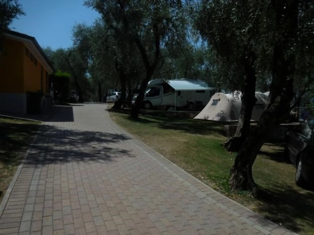 zobacz camping - zdjęcie 27