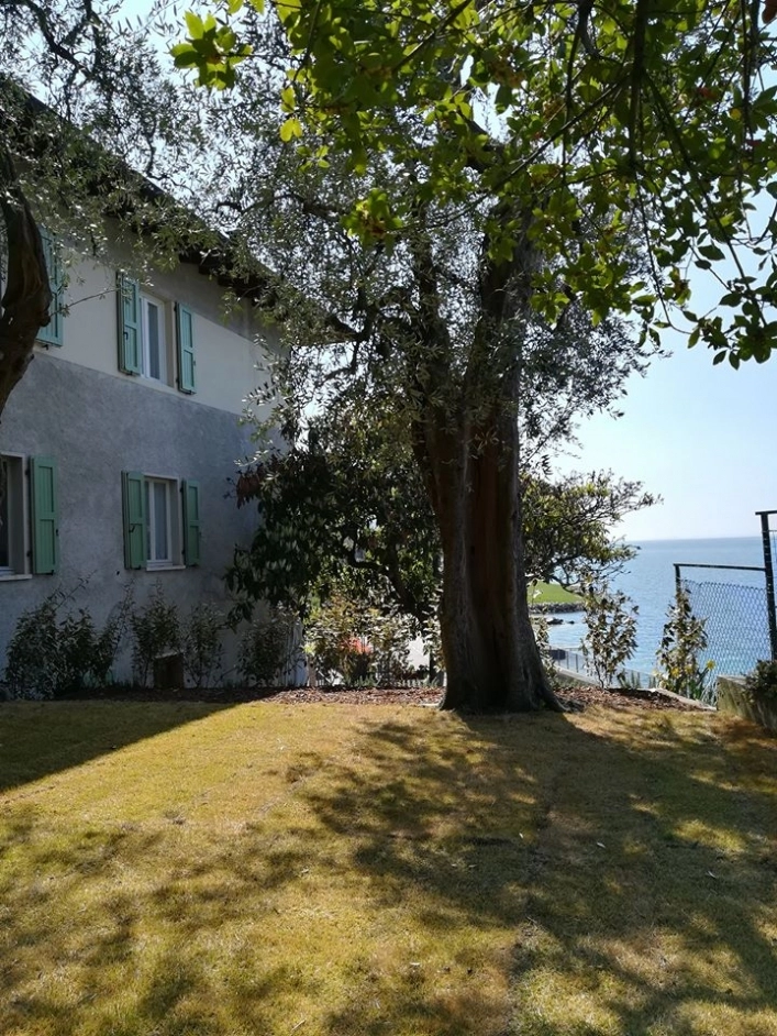 zobacz camping - zdjęcie 22