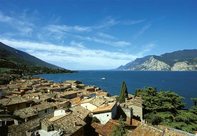 zobacz camping - zdjęcie 17